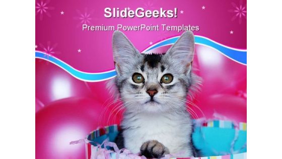 Kitten Surprise Animals PowerPoint Templates And PowerPoint Backgrounds 0511