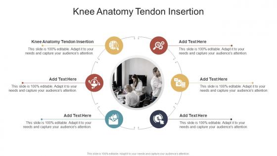 Knee Anatomy Tendon Insertion In Powerpoint And Google Slides Cpb