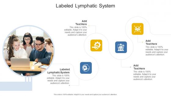 Labeled Lymphatic System In Powerpoint And Google Slides Cpb