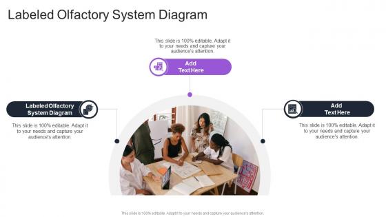 Labeled Olfactory System Diagram In Powerpoint And Google Slides Cpb Labeled Olfactory System Diagram In Powerpoint And Google Slides Cpb