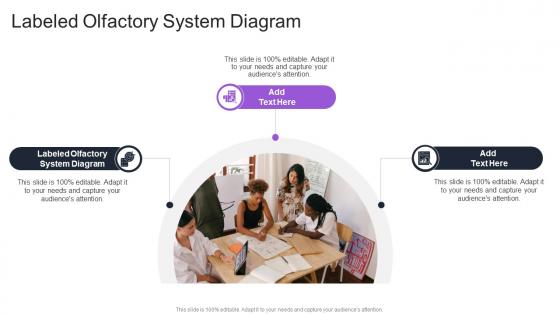 Labeled Olfactory System Diagram In Powerpoint And Google Slides Cpb