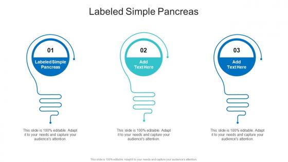 Labeled Simple Pancreas In Powerpoint And Google Slides Cpb