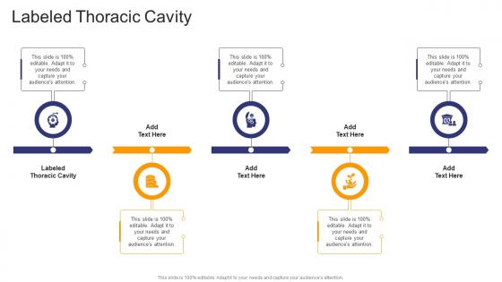 Labeled Thoracic Cavity In Powerpoint And Google Slides Cpb