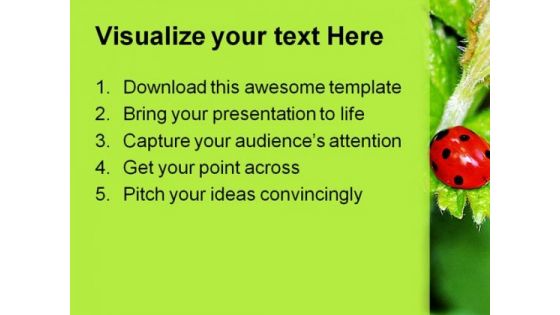 Lady Bird On Plant Nature PowerPoint Themes And PowerPoint Slides 0211