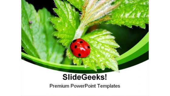 Lady Bird On Plant Nature PowerPoint Themes And PowerPoint Slides 0211