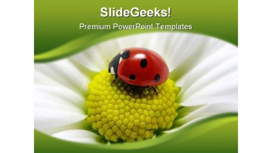 Lady Bug On Flower Animals PowerPoint Templates And PowerPoint Backgrounds 0211