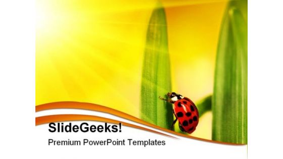 Lady Bug Struggling Nature PowerPoint Templates And PowerPoint Backgrounds 0211