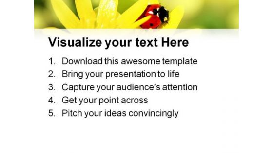 Ladybird Animals PowerPoint Templates And PowerPoint Backgrounds 0511