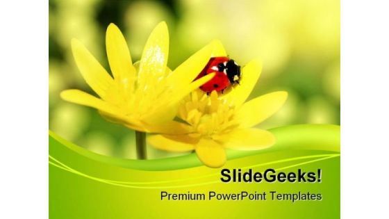 Ladybird Animals PowerPoint Themes And PowerPoint Slides 0511 Ladybird Animals PowerPoint Themes And PowerPoint Slides 0511