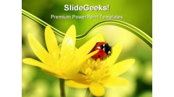 Ladybird On Yellow Petals Nature PowerPoint Templates And PowerPoint Backgrounds 0211