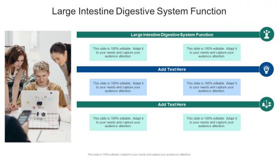 Large Intestine Digestive System Function In Powerpoint And Google Slides Cpb