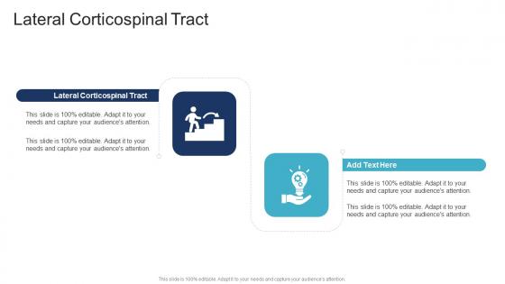 Lateral Corticospinal Tract In Powerpoint And Google Slides Cpb