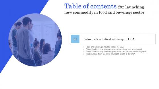 Launching New Commodity In Food And Beverage Sector Table Of Contents Pictures Pdf