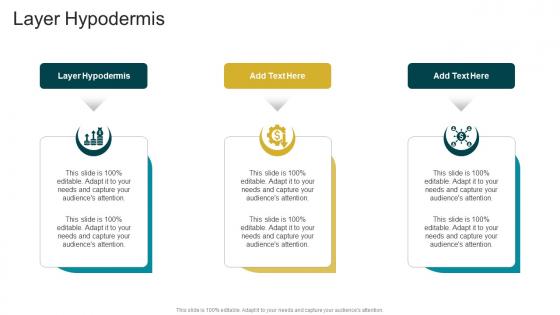 Layer Hypodermis In Powerpoint And Google Slides Cpb