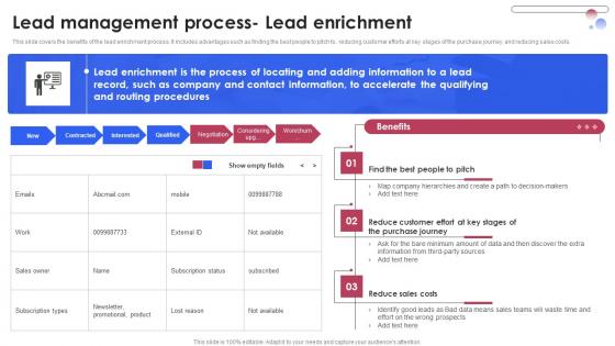 Lead Management Process Lead Enrichment Various Techniques For Managing Structure PDF