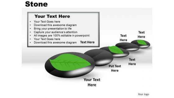 Leaf On Stone PowerPoint Slides And Ppt Diagram Templates