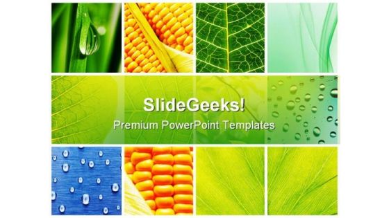 Leaves Collage Nature PowerPoint Themes And PowerPoint Slides 0811