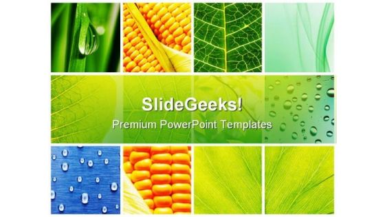 Leaves Collage Nature PowerPoint Themes And PowerPoint Slides 0811 Leaves Collage Nature PowerPoint Themes And PowerPoint Slides 0811