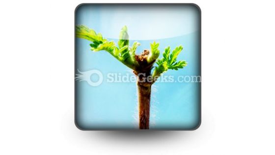 Beautiful Green Leaves PowerPoint Icon