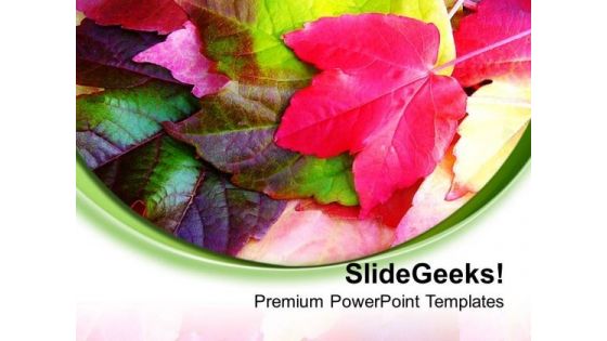 Leaves With White Background Theme PowerPoint Templates Ppt Backgrounds For Slides 0713 Leaves With White Background Theme PowerPoint Templates Ppt Backgrounds For Slides 0713