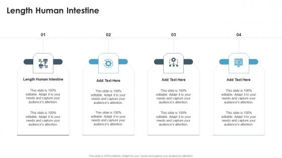 Length Human Intestine In Powerpoint And Google Slides Cpb