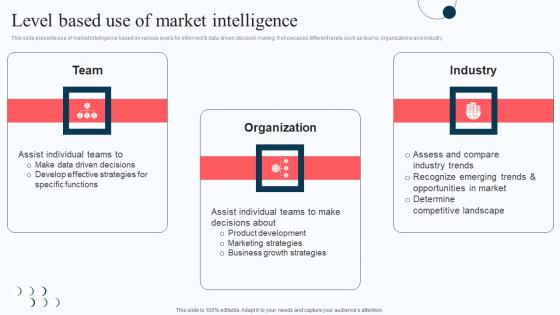 Level Based Use Of Market Intelligence Execution Of Strategic Intelligence Professional PDF