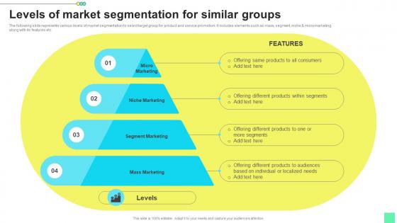 Levels Of Market Segmentation Introduction To Niche Marketing Audience Segmentation Ideas Pdf