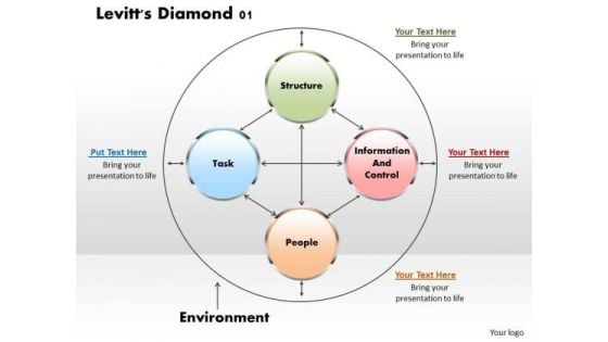 Levitts Diamond 01 Business PowerPoint Presentation