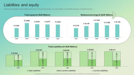 Liabilities And Equity Enterprise Software Solution Providing Company Profile CP SS V