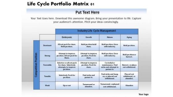 Life Cycle Portfolio Matrix 01 Business PowerPoint Presentation
