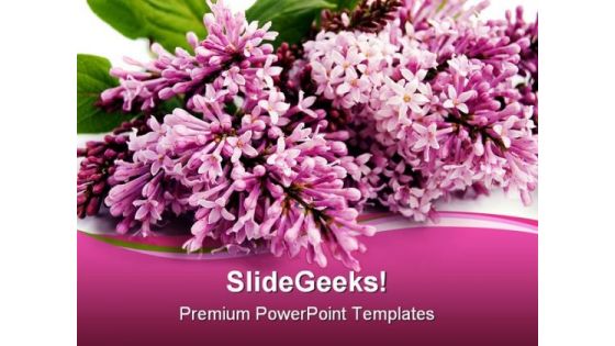Lilac Beauty PowerPoint Templates And PowerPoint Backgrounds 0311