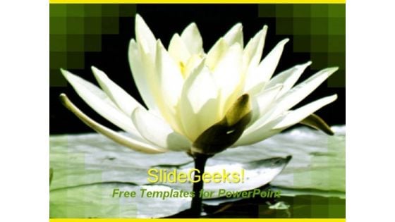 Beautiful Lily Flower PowerPoint Template