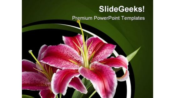 Lily Flowers Beauty PowerPoint Templates And PowerPoint Backgrounds 0311