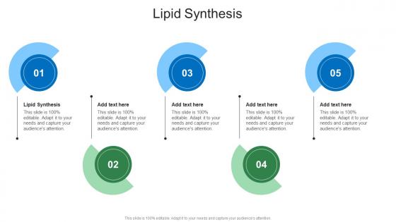 Lipid Synthesis In Powerpoint And Google Slides Cpb