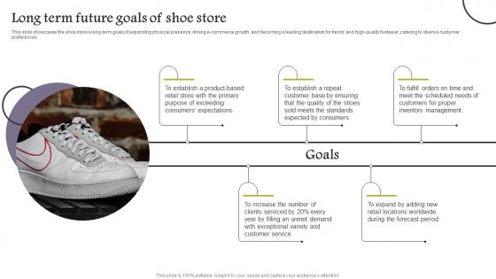 Long Term Future Goals Company Analysis Of Shoe Store Sample Pdf