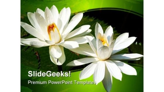 Lotus Flowers Beauty PowerPoint Template 1110