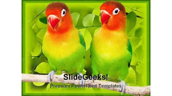 Love Birds Parrots Animals PowerPoint Templates And PowerPoint Backgrounds 0111