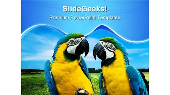 Love Parrots Beauty PowerPoint Templates And PowerPoint Backgrounds 0611