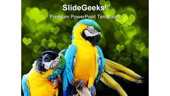 Loving Macaw Animals PowerPoint Templates And PowerPoint Backgrounds 0111