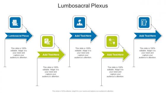 Lumbosacral Plexus In Powerpoint And Google Slides Cpb Lumbosacral Plexus In Powerpoint And Google Slides Cpb