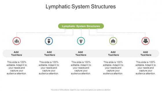 Lymphatic System Structures In Powerpoint And Google Slides Cpb