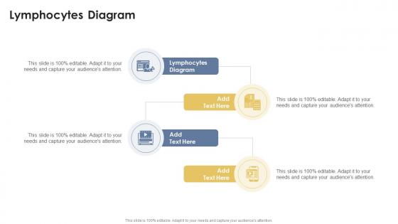 Lymphocytes Diagram In Powerpoint And Google Slides Cpb