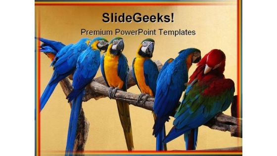 Macaw Parrots Animal PowerPoint Template 0810