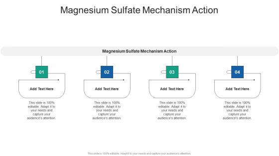 Magnesium Sulfate Mechanism Action In Powerpoint And Google Slides Cpb