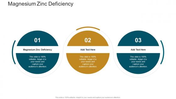 Magnesium Zinc Deficiency In Powerpoint And Google Slides Cpb