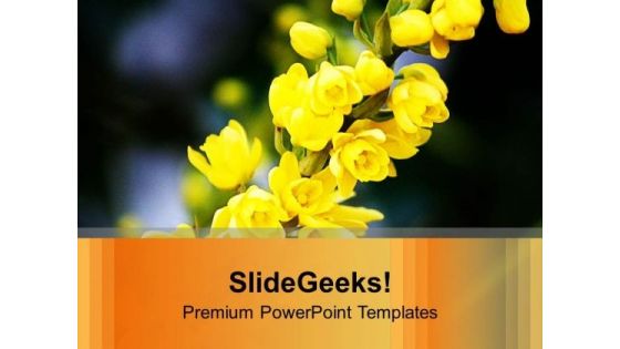 Mahonia Flowers For Joyfull Theme PowerPoint Templates Ppt Backgrounds For Slides 0513