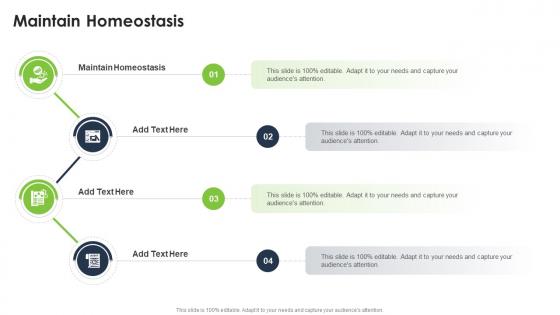 Maintain Homeostasis In Powerpoint And Google Slides Cpb