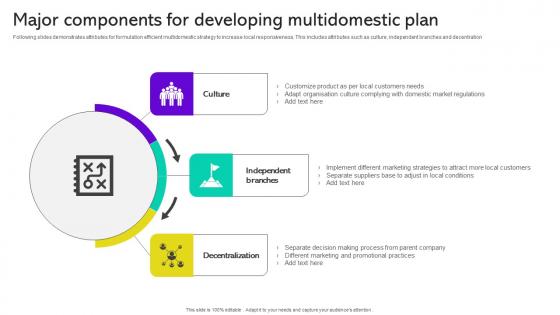 Major Components For Developing Multidomestic Plan Icons Pdf