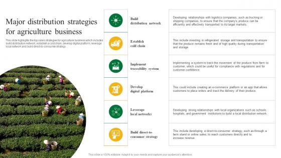 Major Distribution Strategies For Agriculture Business Plan Go To Market Strategy Topics Pdf