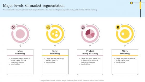 Major Levels Of Market Segmentation Definitive Guide On Mass Advertising Download Pdf